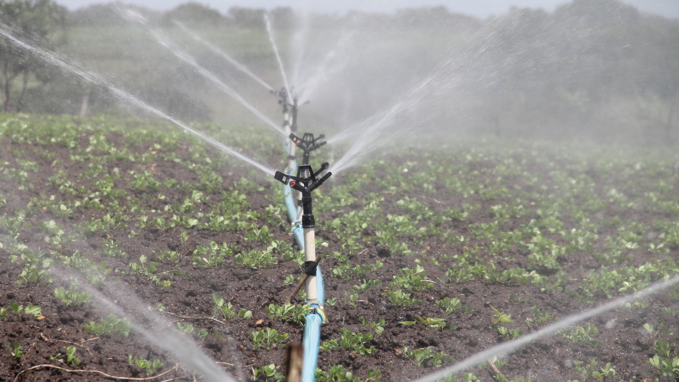 Water Management in Farming: How Smart Irrigation is Solving Global Water Scarcity